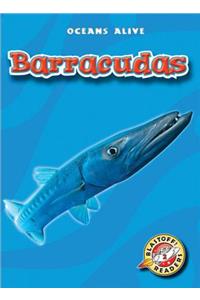 Barracudas