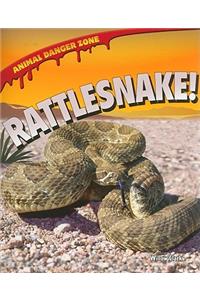 Rattlesnake!