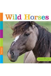 Wild Horses