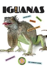 Iguanas