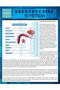 Reproductive System (Speedy Study Guide)