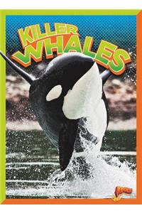 Killer Whales