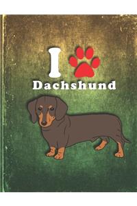 Dachshund
