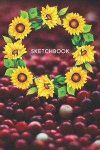 Sketchbook