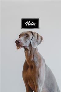 Weimaraner Dog Pup Puppy Doggie Notebook Bullet Journal Diary Composition Book Notepad - Dreamy Eyes