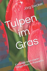 Tulpen im Gras