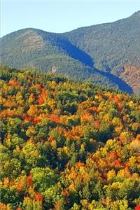 Fall Colors 2020 Weekly Planner Pretty Mountain Foliage 134 Pages