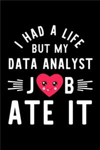 I Had A Life But My Data Analyst Job Ate It