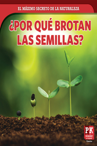 ¿Por Qué Brotan Las Semillas? (How Seeds Sprout)