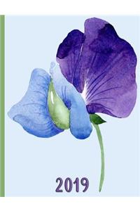 Sweetpea Flower