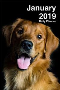 January 2019 Daily Planner