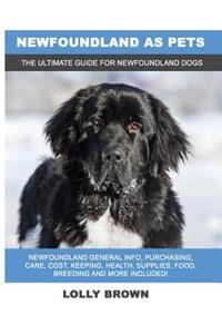Newfoundland as Pets