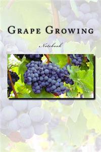 Grape Growing