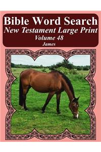 Bible Word Search New Testament Large Print Volume 48