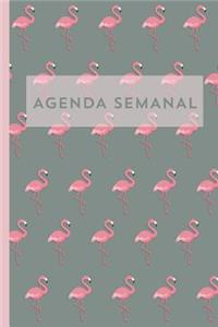 Agenda semanal Flamenco Diario Calendario Organizador regalo
