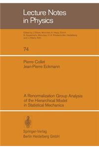 Renormalization Group Analysis of the Hierarchical Model in Statistical Mechanics