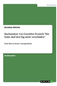 Buchanalyse von Guenther Feustels Ein Indio darf den Tag nicht verschlafen