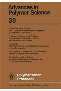 Polymerization Processes