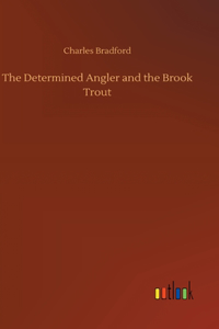 Determined Angler and the Brook Trout