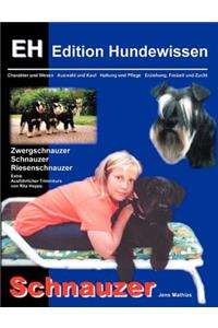 Schnauzer