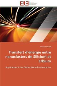 Transfert D Énergie Entre Nanoclusters de Silicium Et Erbium