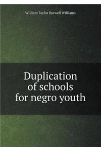 Duplication of Schools for Negro Youth
