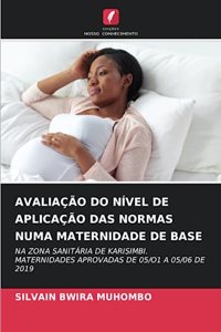 Avaliação Do Nível de Aplicação Das Normas Numa Maternidade de Base
