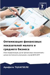 Оптимизация финансовых показателей мало&