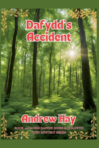 Dafydd's Accident