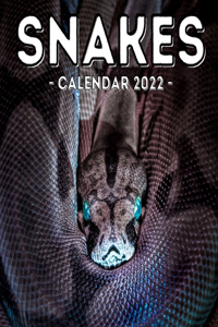 Snakes Calendar 2022