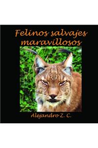 Felinos Salvajes Maravillosos