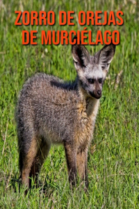 Zorro de orejas de murciélago