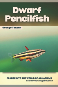 Dwarf Pencilfish: Plunge into the world of aquariums, Learn everything about fish