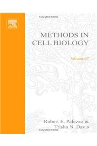 Centrosomes and Spindle Pole Bodies