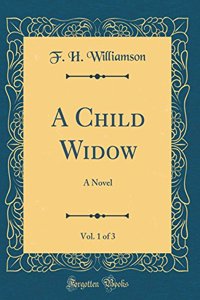 A Child Widow, Vol. 1 of 3: A Novel (Classic Reprint)