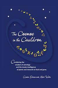Cosmos in the Cauldron