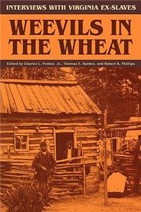 Weevils in the Wheat