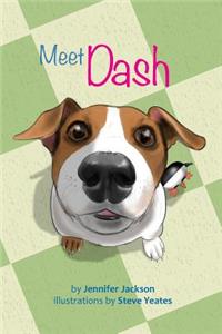 Meet Dash