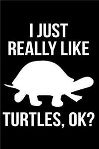 I Just Really Like Turtles, Ok?
