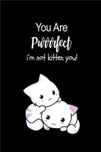 You Are Purrrfect