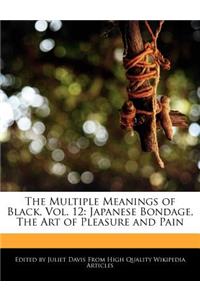 The Multiple Meanings of Black, Vol. 12