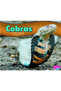 Cobras