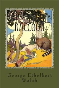 Washer the Raccoon