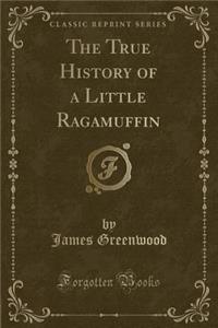 The True History of a Little Ragamuffin (Classic Reprint)