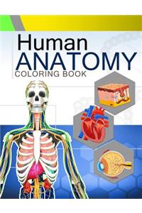 Human Anatomy Coloring Book