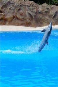 Bottlenose Dolphin Jumping Journal