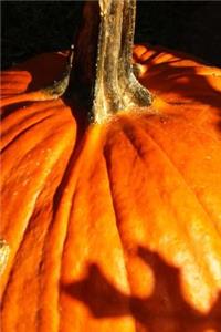 An Orange Pumpkin in Autumn Harvest Portrait Journal