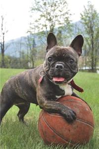 French Bulldog with a Ball Journal