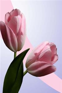 Floral Journal Two Pink Tulips
