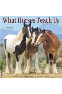 What Horses Teach Us 2019 Wall Calendar
